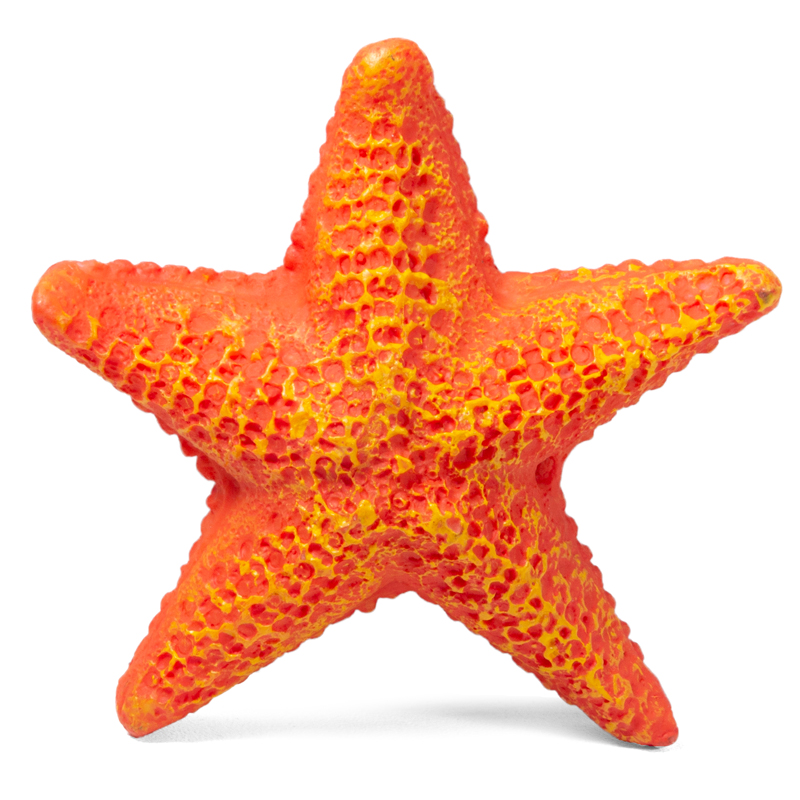 Laguna Грот Морская звезда, S, 85х85х23мм