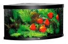 15350-juwel-aquarium-trigon-350-led-chernyi