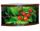 15750-juwel-aquarium-trigon-350-led-temno-korichnevyi