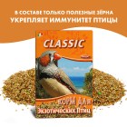 FIORY Корм для экзотических птиц Classic 400 г