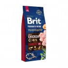 brit-premium-by-nature-senior-l-xl-15kg