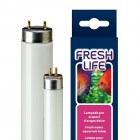 Ferplast Люминесцентная лампа AquaRelle/Freshlife для аквариумов с пресной водой