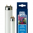 Ferplast Люминесцентная лампа AquaCoral/SeaLife для аквариумов с морской водой