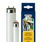 Ferplast Люминесцентная лампа Aquasky/TopLife для аквариумов с пресной и морской водой