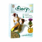 fiory-cardellini