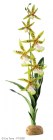 Hagen EXO TERRA Растение Орхидея