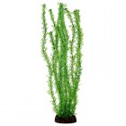 Laguna Растение Лигодиум зеленый, 200мм