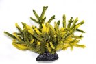 Vitality Коралл пластиковый желто-зеленый 35х32х20см