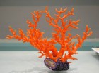 Vitality Коралл пластиковый (мягкий) красный, 34х7х26см