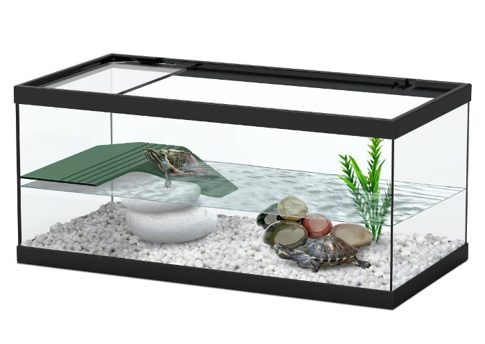 акватеррариум для красноухой черепахи
