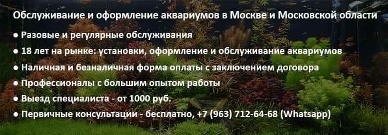 Обслуживание аквариумов в Москве и Московской области