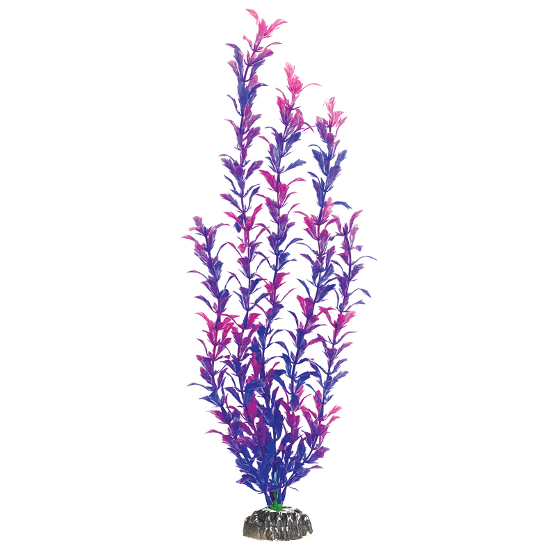 Laguna Растение Людвигия фиолетовая, 500мм