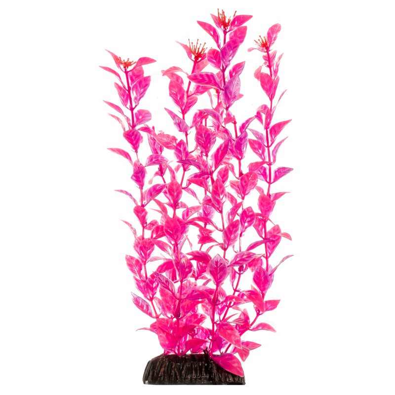 Laguna Растение Людвигия ярко-розовая, 400мм