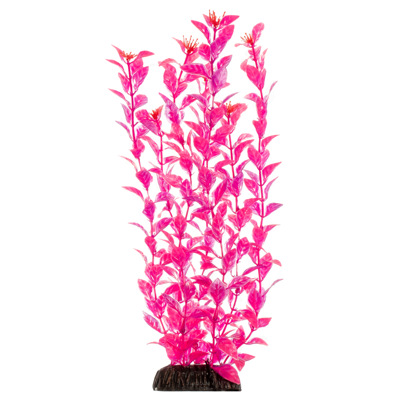 Laguna Растение Людвигия ярко-розовая, 500мм