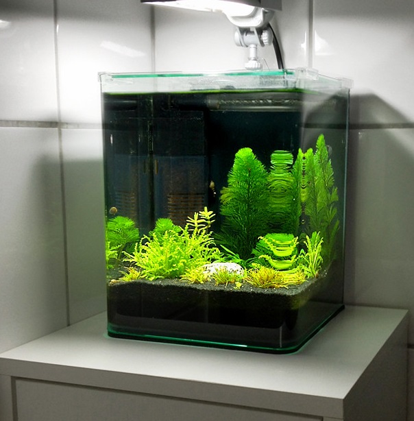 нано аквариум 10 литров