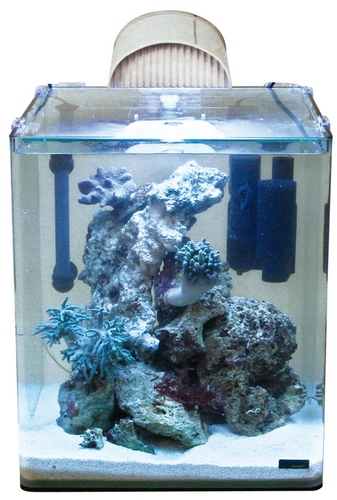 Для каких целей человек создает аквариум. Нано риф 30 литров. Морской аквариум Dennerle. Dennerle Marinus REEFLIGHT. Морской нано аквариум 60 литров.