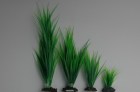 Vitality Растение пластиковое Аир, 30см, зеленое