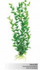 Barbus Пластиковое растение Бакопа зеленая