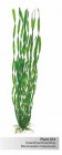 Barbus Пластиковое растение Валиснерия спиральная