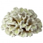 Ferplast Декоративный коралл BLU 9131 из полиуретана для аквариумов