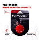 Playology Жевательный мяч SQUEAKY CHEW BALL 6 см