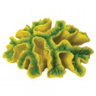 Laguna Коралл искусственный Симфиллия, зелено-желтая, 170х130х65мм