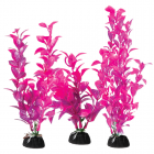 Laguna Растения Людвигия (набор 3 шт) розово-фиолетовые, 100мм, 200мм, 300мм