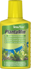 TetraPlant_Plant_4f8c2760e8ebf.png