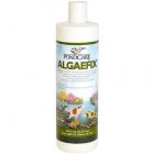api-pc-algae-fix-237-ml