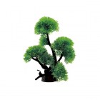 ArtUniq Riccia on bonsai 24 - Риччия на бонсае, 18x11x24 см