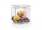 biorb-akvarium-cube-30-mcr-clear-33