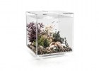 biorb-akvarium-cube-60-clear28