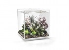 biorb-akvarium-cube-60-white