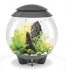 biorb-akvarium-halo-30-led-grey-2