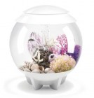 biorb-akvarium-halo-30-led-white-3