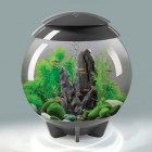 biorb-akvarium-halo-30-mcr-grey-2