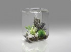 biorb-akvarium-life-15-led-clear-49