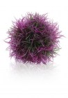 BiOrb Фиолетовый водный шар (Aquatic colour ball purple)