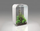 biorb-aquatic-topiary-ball-set-3-green-4