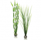 BiOrb Набор Высокие зеленые растения (Easy plant set tall green)