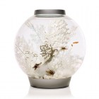 biorb-fan-coral-ornament-medium-white-2