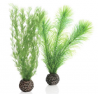 BiOrb Набор декоративных растений (Feather fern set small green)