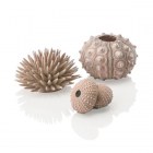 BiOrb Набор Морской ёж натурального цвета (sea urchins set natural)