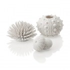 BiOrb Набор Морской ёж (sea urchins set white)