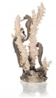 BiOrb Декоративная фигура Коралл с морскими коньками, средняя