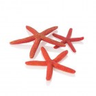BiOrb Набор красных морских звезд (Starfish Set 3 red)