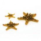 BiOrb Набор жёлтых морских звезд (Starfish set 3 yellow)