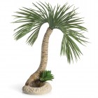 BiOrb Декоративный элемент Пальма, Palm tree Seychelles L