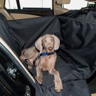 ferplast-dog-car-shelter-3