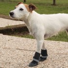 ferplast-dog-shoes-2